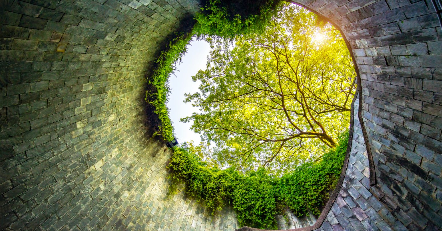 Gettyimages 1254345680 (1)