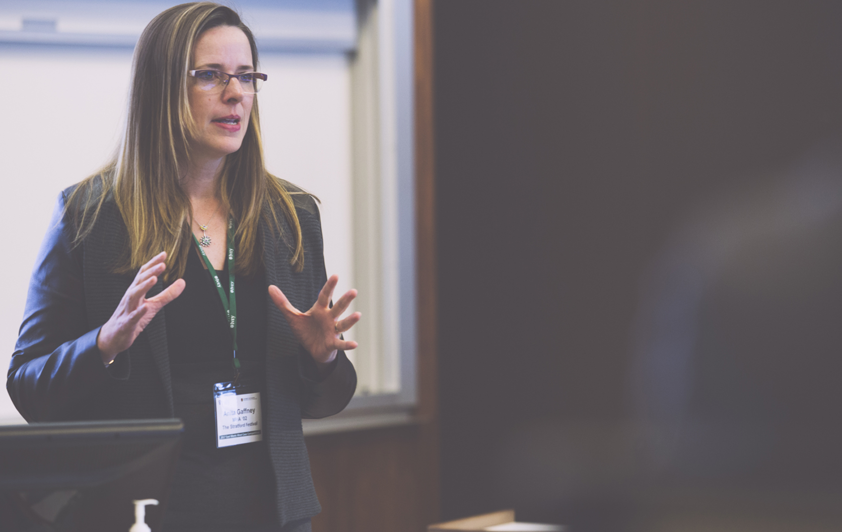 Anita Gaffney 1696X1072 (1).jpg