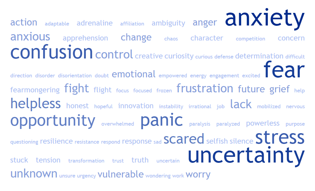 Leading Through Crisis Word Cloud