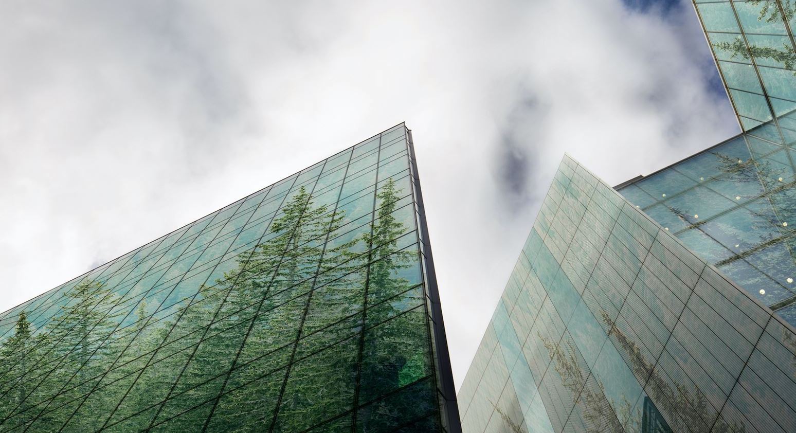 Green Accounting Resize