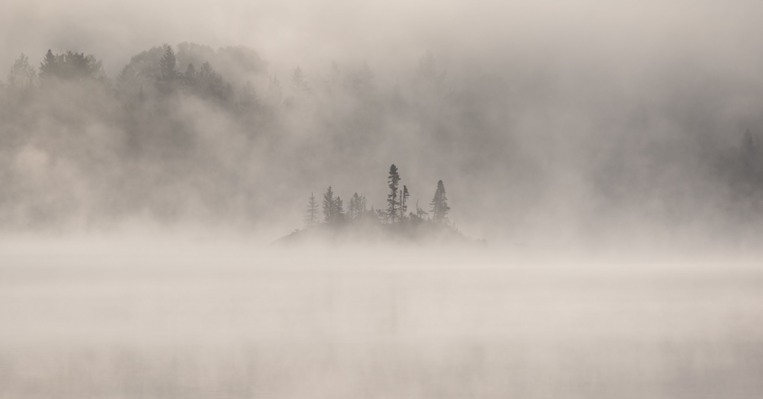 Responsible Investing Report Image