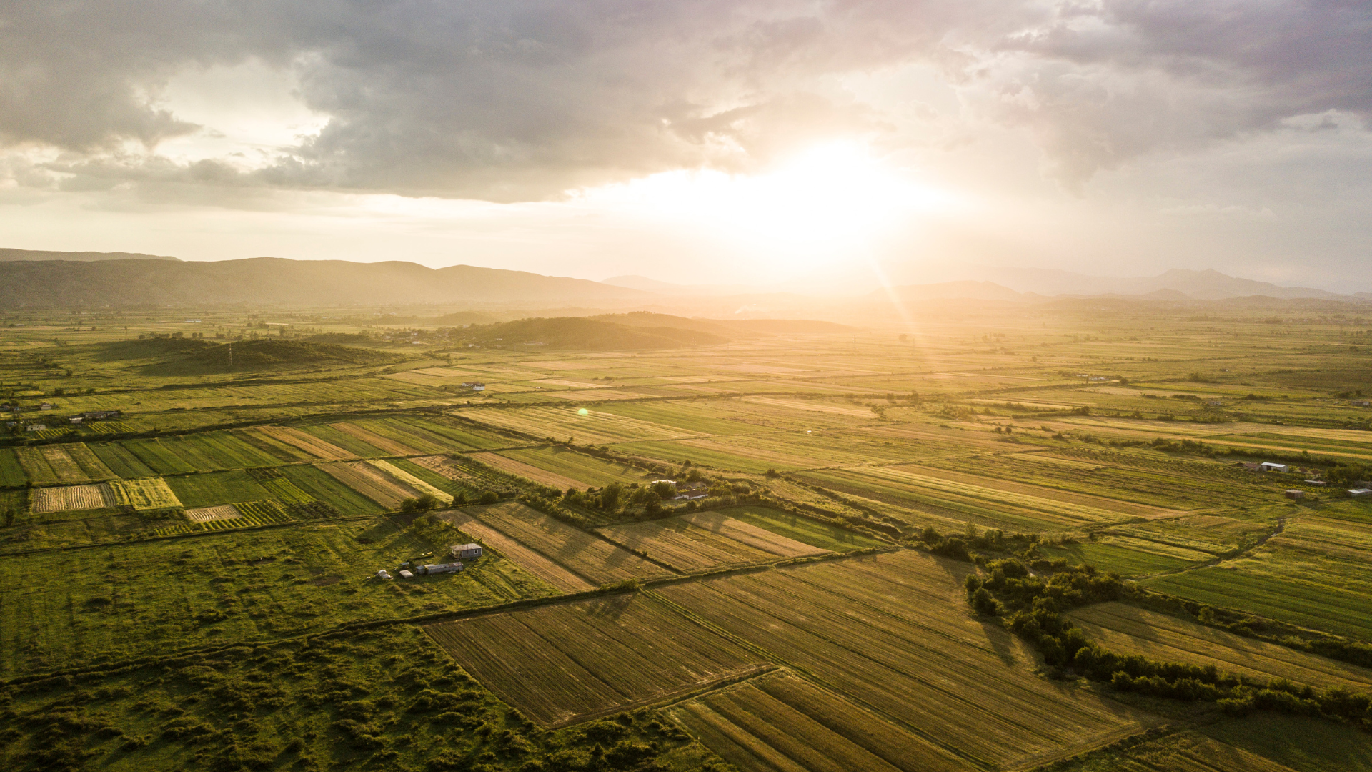 Sunrise over multiple field of farmland