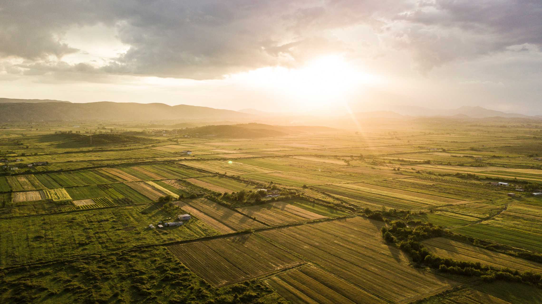 Collective Action Program for Regenerative Agriculture