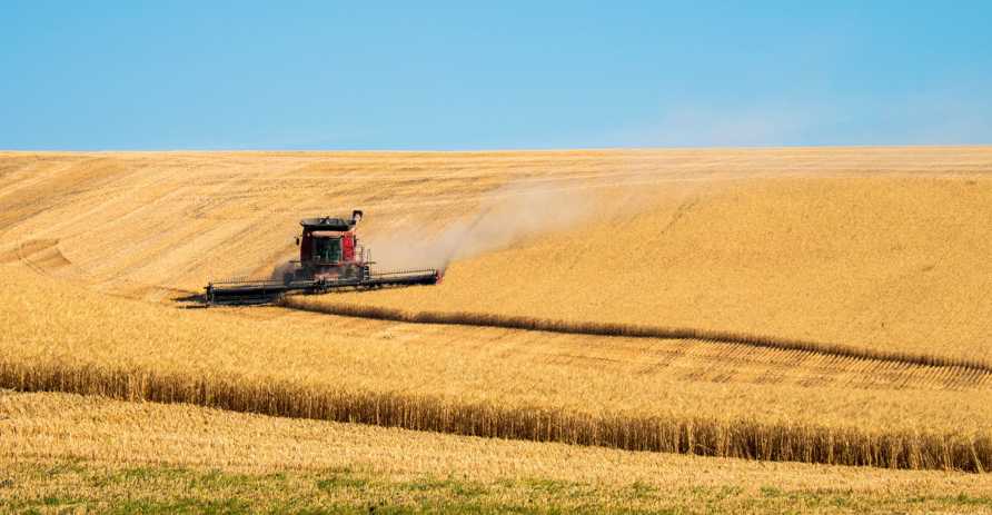 Policy Brief - Harvesting Uncertainty: Building Resilience Against U.S. Tariffs & Global Market Disruption