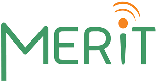 Merit Logo