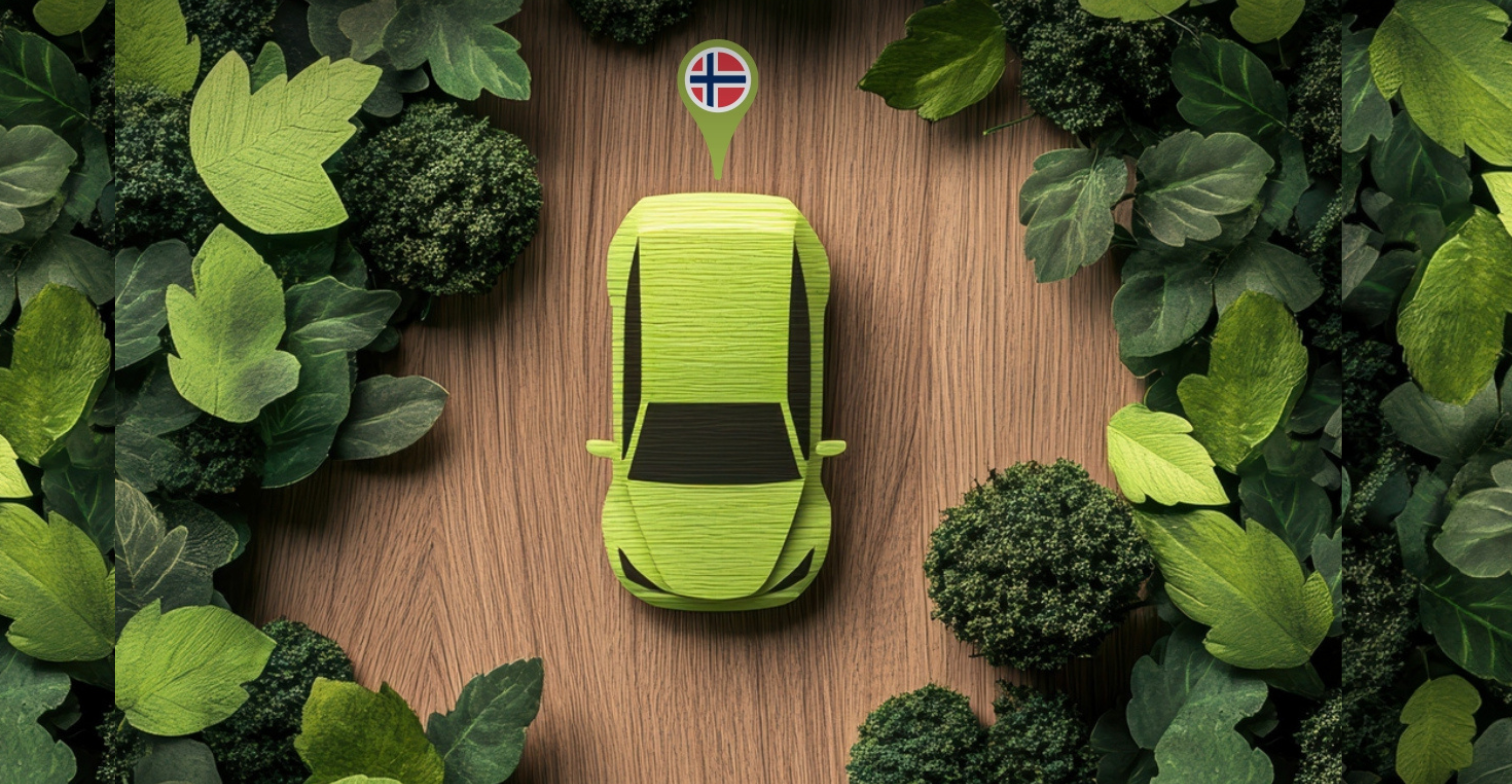 Standard Homepage And News Image Size LNC (14)