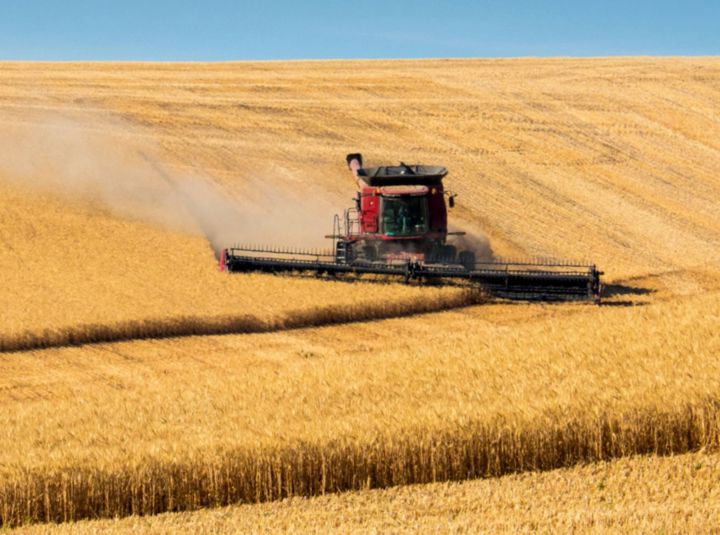 Harvesting Uncertainty: Building Resilience Against U.S. Tariffs & Global Market Disruption