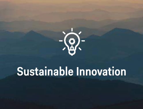 Sustainable Innovation