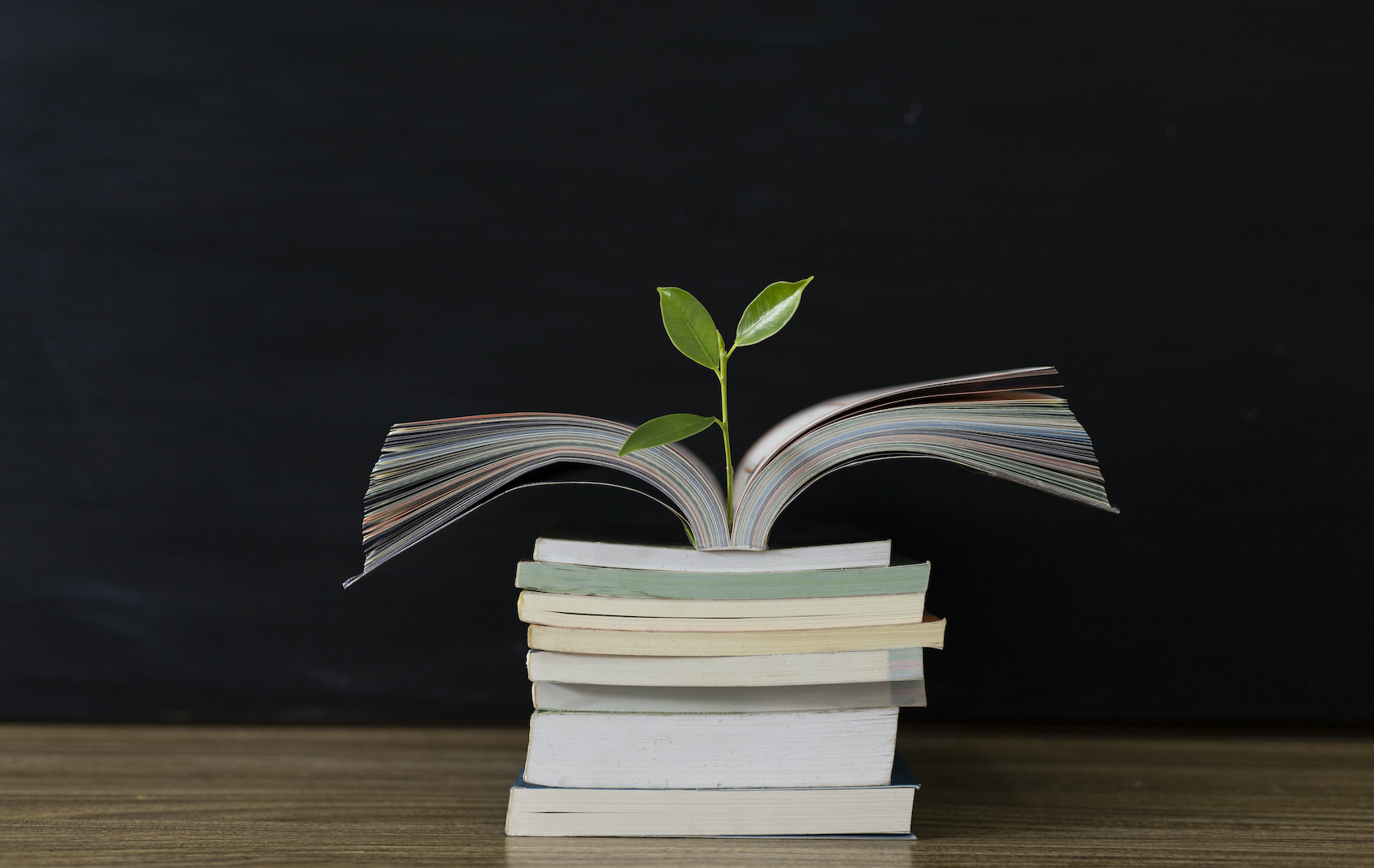 Stack of books with plant growing