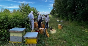 Max Cherney: Transforming beekeeping practices for the better